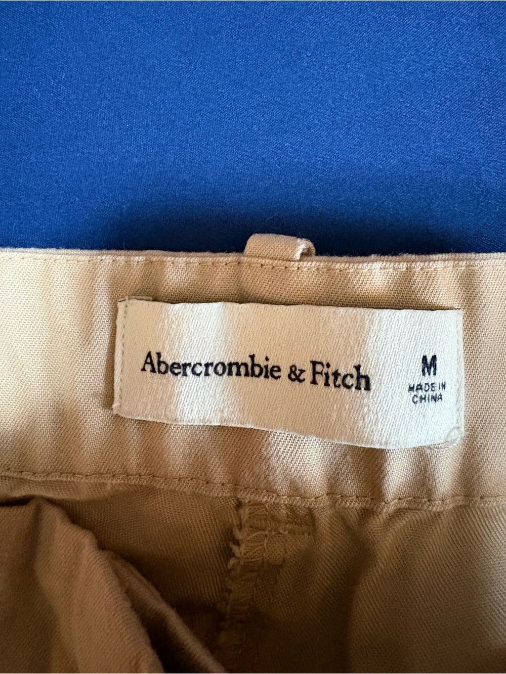 Abercrombie & Fitch Sloane Tailored High Rise Wide Trouser Pant Khaki/Tan Medium - Picture 2 of 8